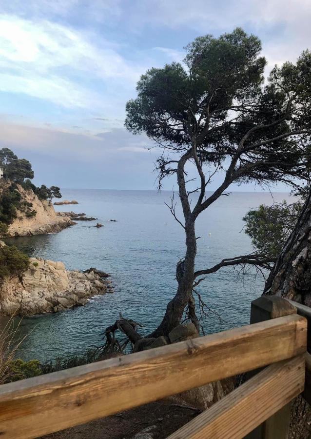 Ferienwohnung Les Terrasses De Cala Llevado Tossa de Mar Exterior foto