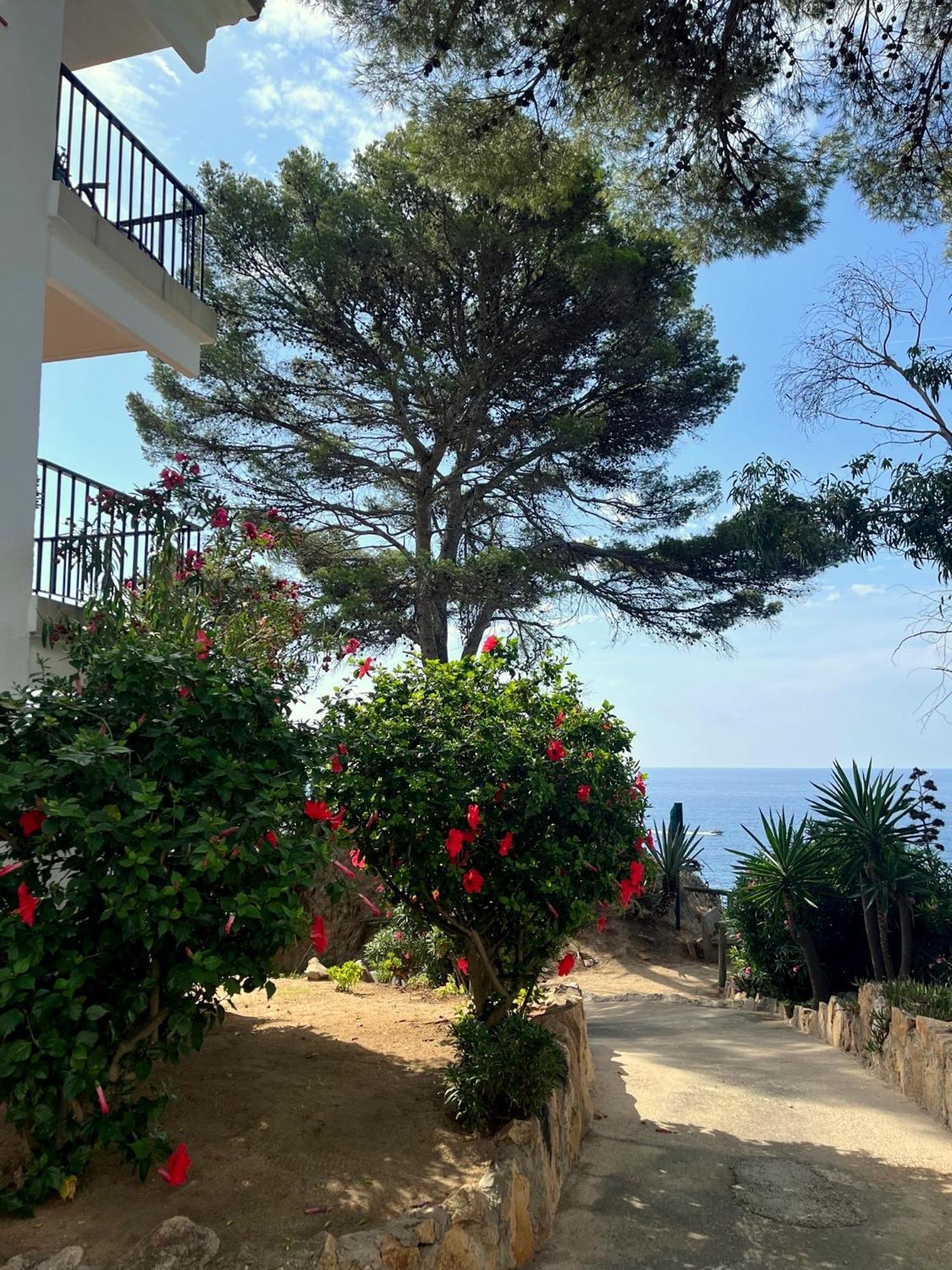 Ferienwohnung Les Terrasses De Cala Llevado Tossa de Mar Exterior foto